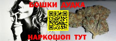 стафф Можга