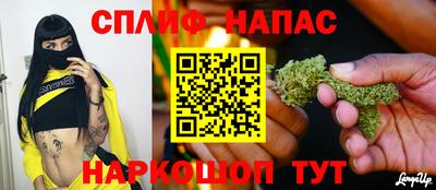 стафф Можга